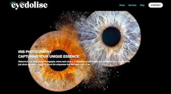 Eyedolise website design